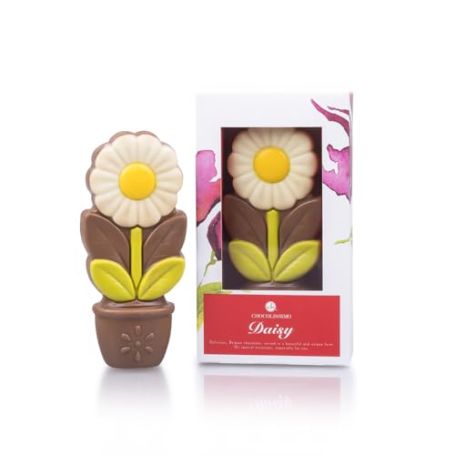 ChocoDaisy - Weiß - Schokoladenblume | Geschenk | Geburtstag | Valentinstag | Muttertag | Vatertag | Mutter | Vater | Mann | Frau | Kind | Ostern | Weihnachten | Frauentag von CHOCOLISSIMO