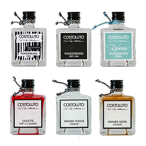 COSTOLUTO Probierset bestehend aus Wunderburg Dry Gin, Wunderburg Fresh, Wunderburg Free, GINGER VOGUE Likör, GINGER Novis Likör und Colette Likör (6 x 50 ml) von COSTOLUTO