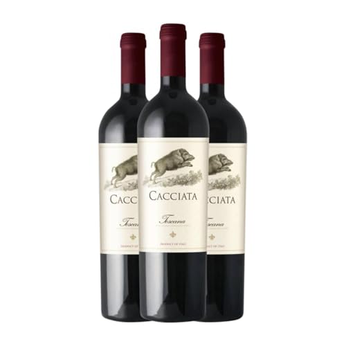 Cacciata Rosso Toscana 75 cl Rotwein (Karton mit 3 Flaschen von 75 cl) von Cacciata