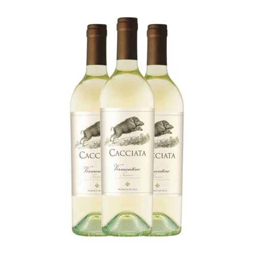 Cacciata Vermentino Toscana 75 cl Weißwein (Karton mit 3 Flaschen von 75 cl) von Cacciata