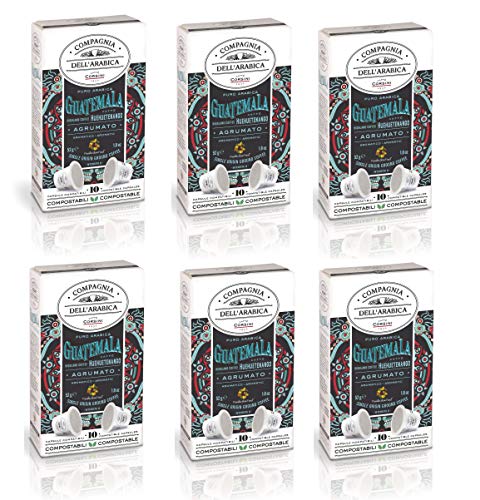 Caffè Corsini Compagnia Dell'Arabica 100% Arabica Guatemala Huehuetenango Highland Coffee 6 Packung Mit 10 Kepseln, 660 g von CAFFÈ CORSINI 1950