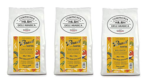 Caffè Corsini - Kaffeebohnen 3x250g Compagnia Dell'Arabica Brasilien Santos, Einzelner Ursprung, Delikat, Insgesamt 750g von CAFFÈ CORSINI 1950