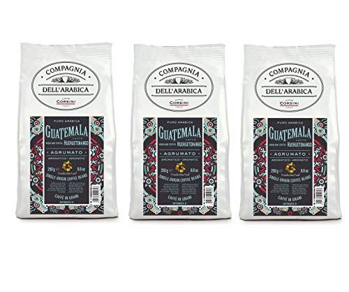 Caffè Corsini Compagnia Dell'Arabica Guatemala Huehuetenango Highland Kaffeebohnen 3 Pack x 250g, 750 g von CAFFÈ CORSINI 1950