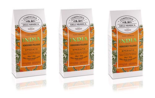 Caffè Corsini - Kaffee Gemahlen 3x250g Compagnia Dell'Arabica Indie Mousson Malabar, Einzelner Ursprung, Gewürz, insgesamt 750g von CAFFÈ CORSINI 1950