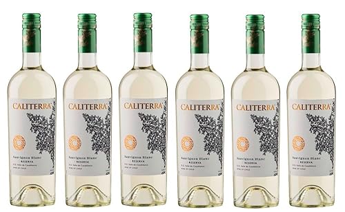 6x 0,75l - 2022er - Caliterra - Reserva - Sauvignon Blanc - Valle de Casablanca D.O. - Chile - Weißwein trocken von Caliterra