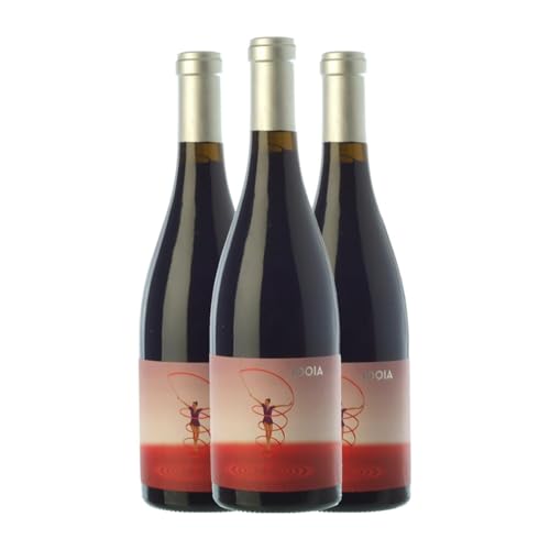 Ca N'Estruc Idoia Negre Catalunya Alterung 75 cl Rotwein (Karton mit 3 Flaschen von 75 cl) von Can Dez Mas - Ca N'Estruc