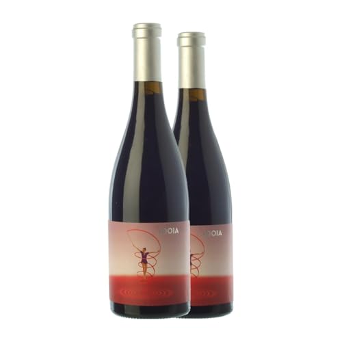 Ca N'Estruc Idoia Negre Catalunya Alterung Magnum-Flasche 1,5 L Rotwein (Karton mit 2 Magnum-Flasche von 1,5 L) von Can Dez Mas - Ca N'Estruc