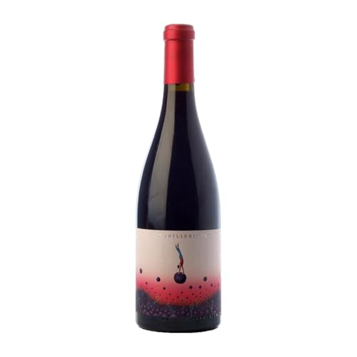 Ca N'Estruc L'Equilibrista Grenache Catalunya Magnum-Flasche 1,5 L Rotwein von Can Dez Mas - Ca N'Estruc