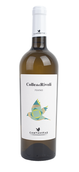 "Colle dei Rivoli" Fiano Campania IGP 2022 von Cantavitae