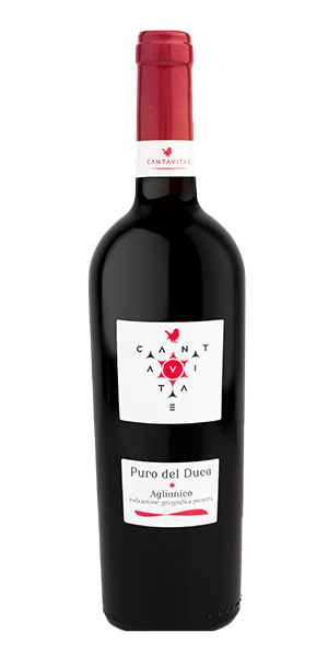 "Puro del Duca" Aglianico Campania IGP 2019 von Cantavitae