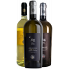 Alessandro Bocca 2022 Vermentino Kennenlern-Paket von Cantina Alessandro Bocca