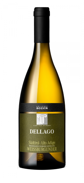 "Dellago" Pinot Bianco Alto Adige DOC 2023 von Cantina Bolzano