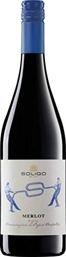 Cantina Colli del Soligo Merlot Piave DOC 2022 (1 x 0.750 l) von Cantina Colli del Soligo