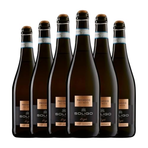 Colli del Soligo Ligá Frizzante Extra Dry Prosecco Extra Trocken Treviso 75 cl Weißer Sekt (Karton mit 6 Flaschen von 75 cl) von Cantina Colli del Soligo