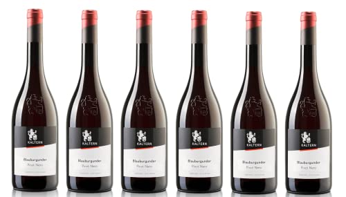 6x 0,75l - 2022er - Cantina Kaltern - Klassik - Blauburgunder - Pinot Nero - Alto Adige D.O.P. - Südtirol - Italien - Rotwein trocken von Cantina Kaltern