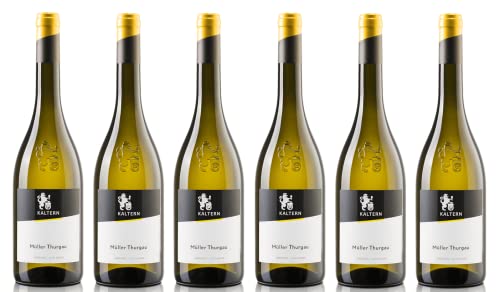 6x 0,75l - 2023er - Cantina Kaltern - Klassik - Müller-Thurgau - Alto Adige D.O.P. - Südtirol - Italien - Weißwein trocken von Cantina Kaltern