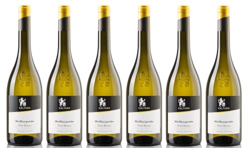 6x 0,75l - 2023er - Cantina Kaltern - Klassik - Weißburgunder - Pinot Bianco - Alto Adige D.O.P. - Südtirol - Italien - Weißwein trocken von Cantina Kaltern