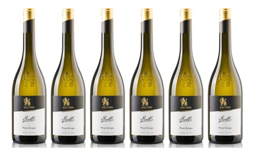 6x 0,75l - 2023er - Cantina Kaltern - Selektion - Soll - Pinot Grigio - Alto Adige D.O.P. - Südtirol - Italien - Weißwein trocken von Cantina Kaltern