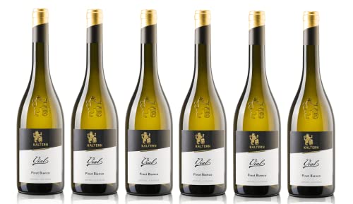 6x 0,75l - 2023er - Cantina Kaltern - Selektion - Vial - Pinot Bianco - Alto Adige D.O.P. - Südtirol - Italien - Weißwein trocken von Cantina Kaltern