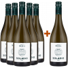 Micheli 2023 5+1 Paket Soladio Vigneti delle Dolomiti IGP von Cantina Micheli