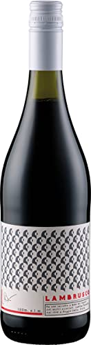 Cantina Puianello Lambrusco Primabolla Amabile Doc NV 0.75 L Flasche von Cantina Puianello