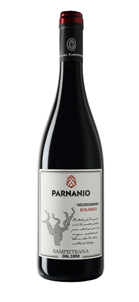 "Parnanio" Negroamaro BIO Salento IGP 2022 von Cantina Sampietrana