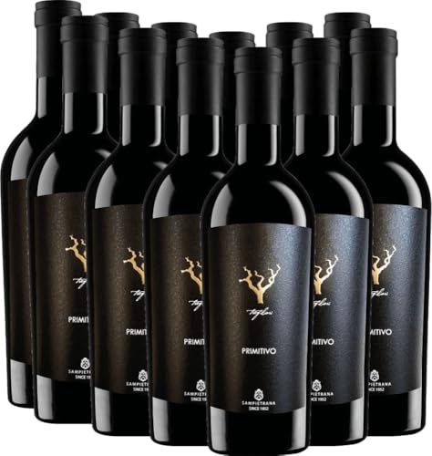 Trefilari Primitivo Salento IGT Cantina Sampietrana Rotwein 12 x 0,75l VINELLO - 12 x Weinpaket inkl. kostenlosem VINELLO.weinausgießer von Cantina Sampietrana