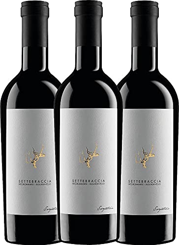 Settebraccia Rosso von Cantina Sampietrana - Rotwein 3 x 0,75l VINELLO - 3er - Weinpaket inkl. kostenlosem VINELLO.weinausgießer von Cantina Sampietrana