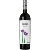 Cantina dei Monaci 2021 Campania Aglianico IGP trocken von Cantina dei Monaci