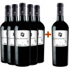 Massimo Leone 2023 5+1 Paket Falanghina Puglia IGP von Cantine Massimo Leone