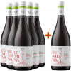 Cantine Patria 2022 5+1 Paket Femina Rosso Etna DOC von Cantine Patria