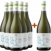 Cantine Patria  5+1 Paket Femina Bianco Etna DOC von Cantine Patria