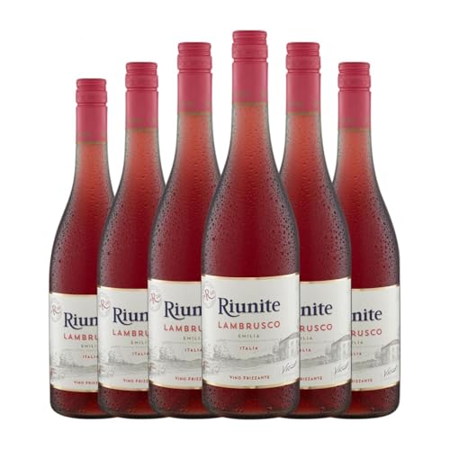 Riunite Rosato Lambrusco Emilia Romagna 75 cl Rosé-Wein (Karton mit 6 Flaschen von 75 cl) von Cantine Riunite