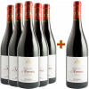 Valenti 2020 5+1 Paket Norma Etna Rosso DOC von Cantine Valenti