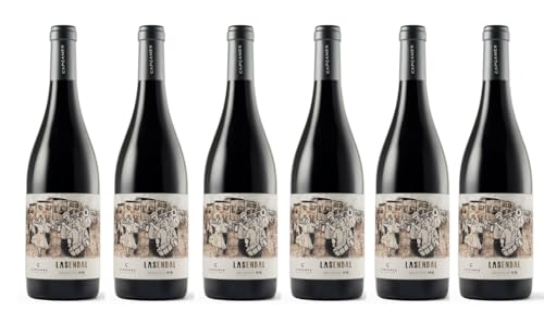 Rotwein Syrah, Garnacha Celler de Capcanes 2020 D.O. Monsant Spanien trocken Kräuter, Vanille, Kirsche, leichte Holzaromen 6 Flaschen von Capcanes