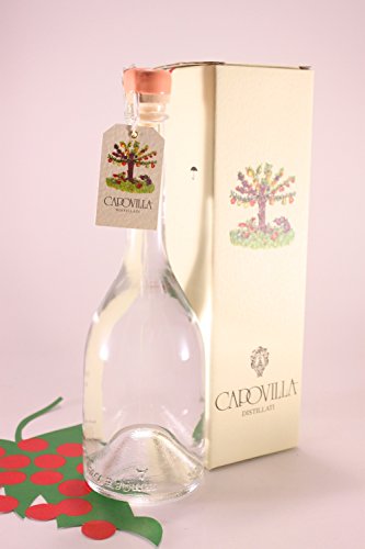 Gravensteiner Apfeldestillat 41% 50 cl. - Capovilla Distillati von Capovilla Distillati