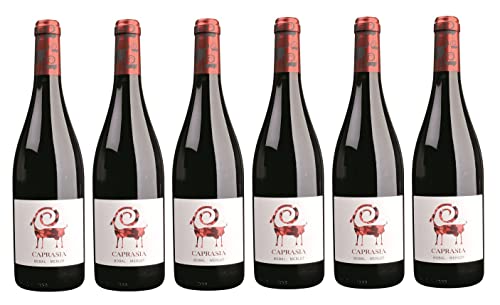 6x 0,75l - 2022er - Viñedos y Bodegas Vegalfaro - Caprasia - Roble - Bobal & Merlot - Utiel-Requena D.O.P. - Spanien - Rotwein trocken von Caprasia