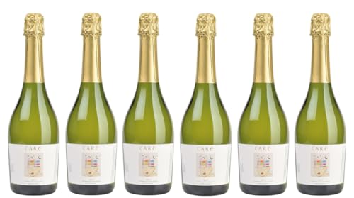 6x 0,75l - 2022er - Care - Garnacha Blanca - Brut - Cariñena D.O.P. - Spanien - Schaumwein brut von Care