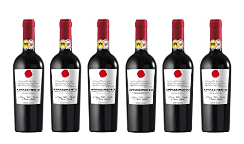 6x 0,75l - 2022er - Carlo Scala - Appassimento - Puglia I.G.P. - Apulien - Italien - Rotwein halbtrocken von Carlo Scala