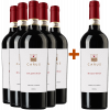 Carus 2019 5+1 Paket Baldéro Chianti Classico DOCG von Carus