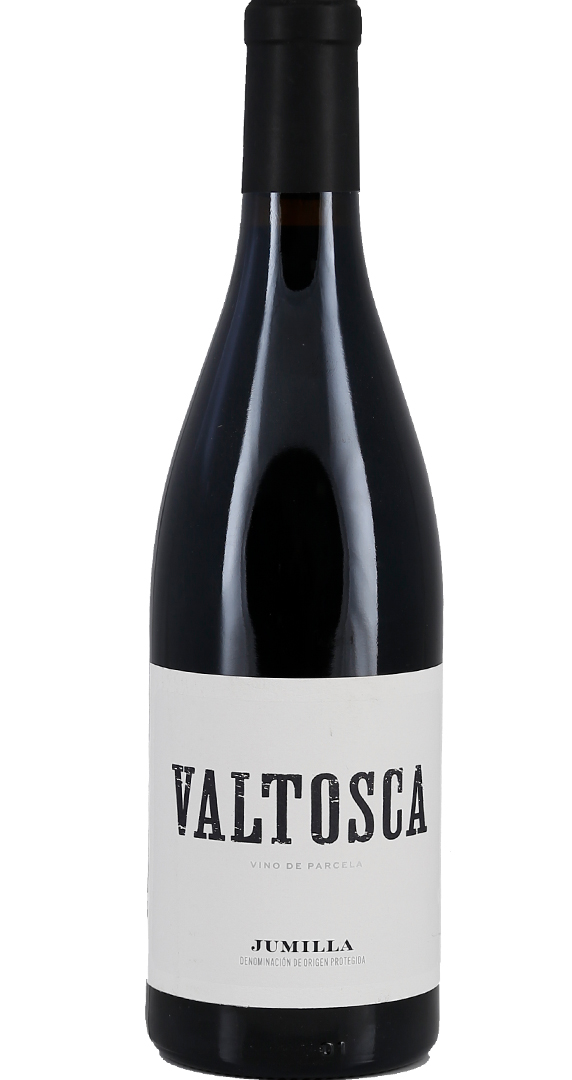 Casa Castillo Valtosca Syrah 2021 von Casa Castillo