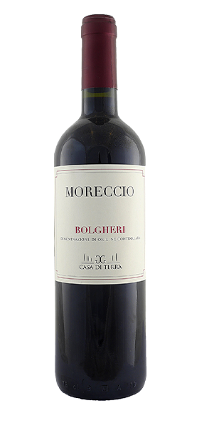 "Moreccio" Bolgheri Rosso DOC 2023 von Casa di Terra