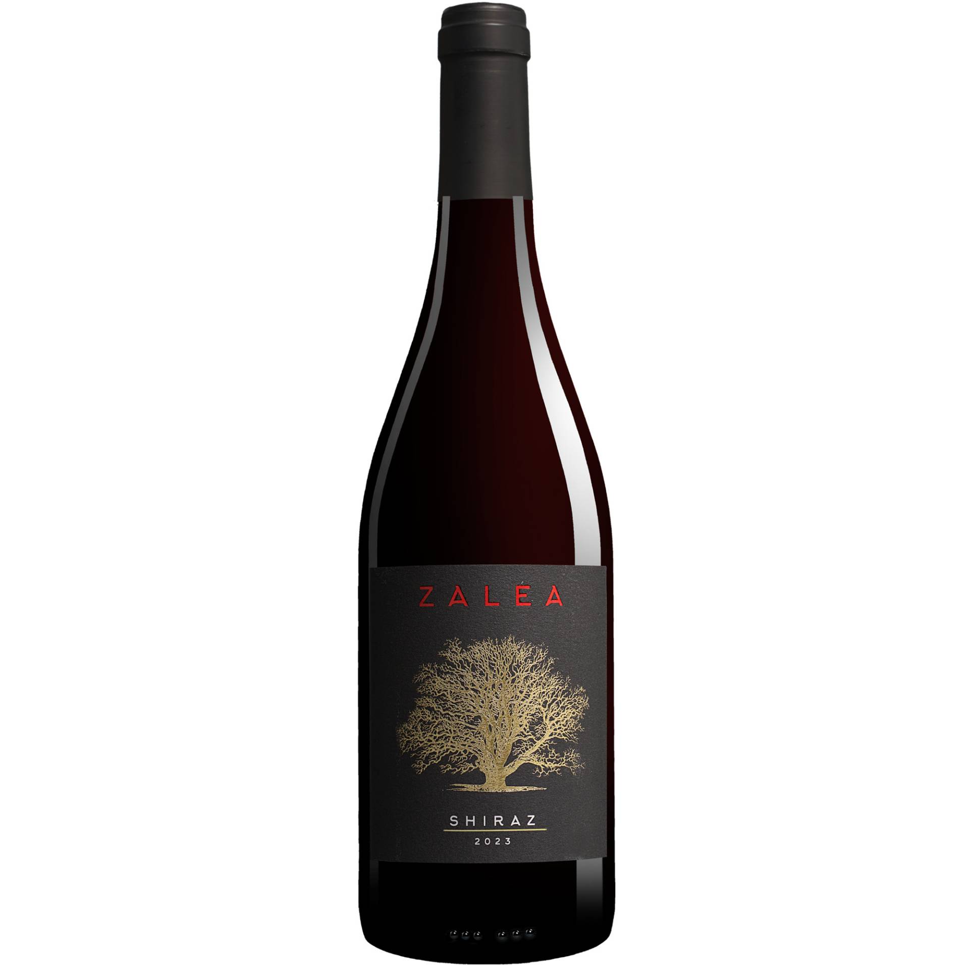 Zalea Shiraz 2023  0.75L 14.5% Vol. Rotwein Trocken aus Spanien von Castaño