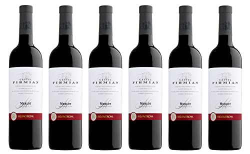 6x 0,75l - 2022er - Castel Firmian - Merlot - Trentino D.O.P. - Italien - Rotwein trocken von Castel Firmian