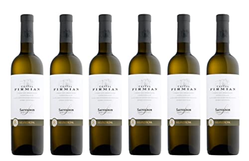 6x 0,75l - 2023er - Castel Firmian - Sauvignon - Trentino D.O.P. - Italien - Weißwein trocken von Castel Firmian