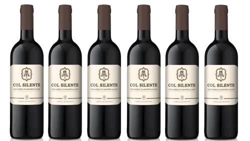 6x 0,75l - 2019er - Castelli del Grevepesa - Col Silente - Vino Nobile di Montepulciano D.O.C.G. - Toscana - Italien - Rotwein trocken von Castelli del Grevepesa