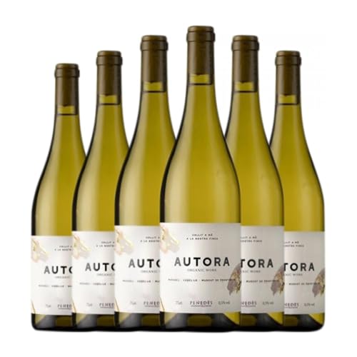 Bertha Autora Penedès Jung 75 cl Weißwein (Karton mit 6 Flaschen von 75 cl) von Cava Bertha