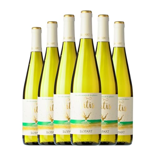 Llopart Vitis Penedès 75 cl Weißwein (Karton mit 6 Flaschen von 75 cl) von Cavas Llopart