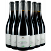 Fleurie 2020 Cave de Fleurie Bio Kennenlern-Paket von Cave de Fleurie