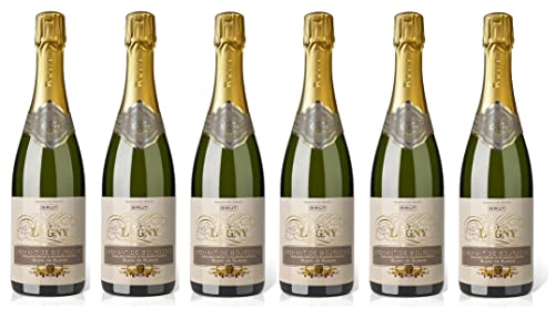 6x 0,75l - Cave de Lugny - Blanc de Blancs - brut - Crémant de Bourgogne A.O.P. - Frankreich - Schaumwein trocken von Cave de Lugny